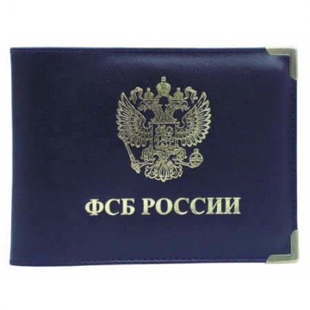«Киборгу», который работал в ФСБ, дадут гражданство Украины