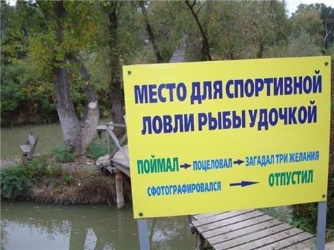 Депутат: Борьба с коррупцией в Украине - как рыбалка на канале Дискавери - поймали, показали, отпустили