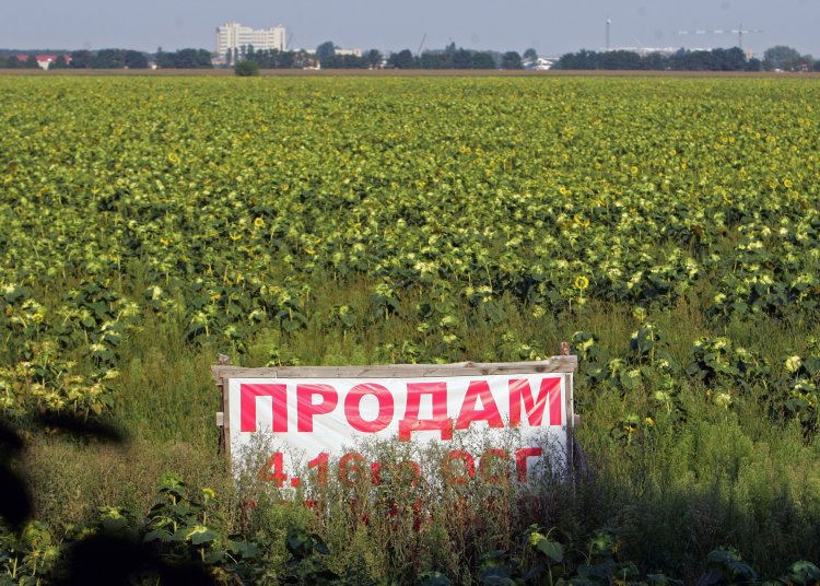 Земельная реформа в Украине: шпагат между МВФ и Радой