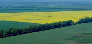 Министр АПК прогнозирует, что в Украине до конца года разрешат торговать землей