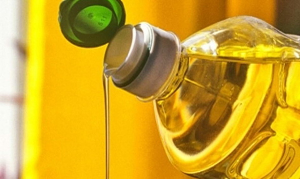 Держрезерв закупив «золоту» олію за 63 мільйони, що дорожче на 16% від ринкової ціни