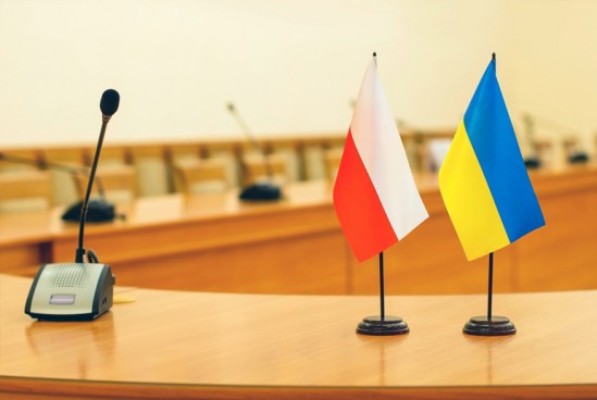 Почему «Самопоміч» помогает Кремлю в срыве украино-польского примирения 