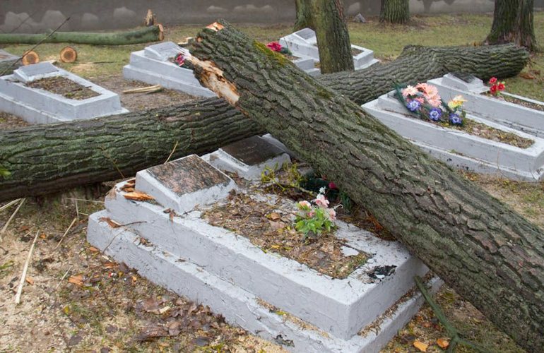 Работникам, которые разрушили могилы на военном кладбище в Житомире, начальник выписал премии