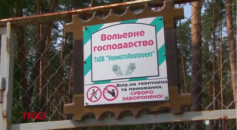 Прокуратура не повернула державі тисячі гектарів лісів Пшонки та Арбузова