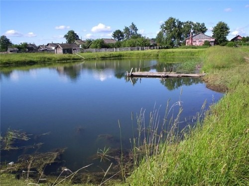 Суд відібрав ставок, який «регіонал» орендував по 200 гривень за гектар