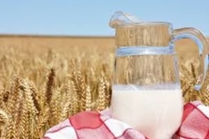 Мнение: Какие производители молока обманывают украинцев