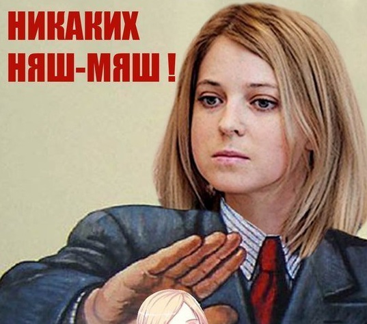 Наталья Поклонская намерена осудить около 50 человек за Евромайдан