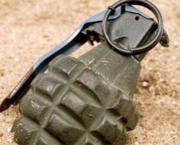 В Ужгороде неизвестные кинули гранату во двор дома местного депутата Юрия Мандыча