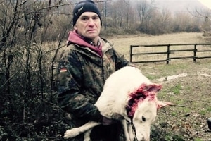 На Закарпатье пьяный депутат Мирон Помпель напал на лесника и расстрелял его собаку