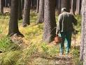 Мнение: Почему луганчанам не стоит ходить в лес и на рыбалку