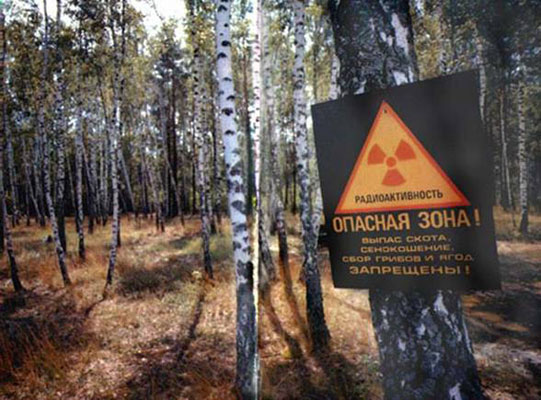 Кабмин уволил главу Чернобыльской зоны отчуждения Юрия Антипова