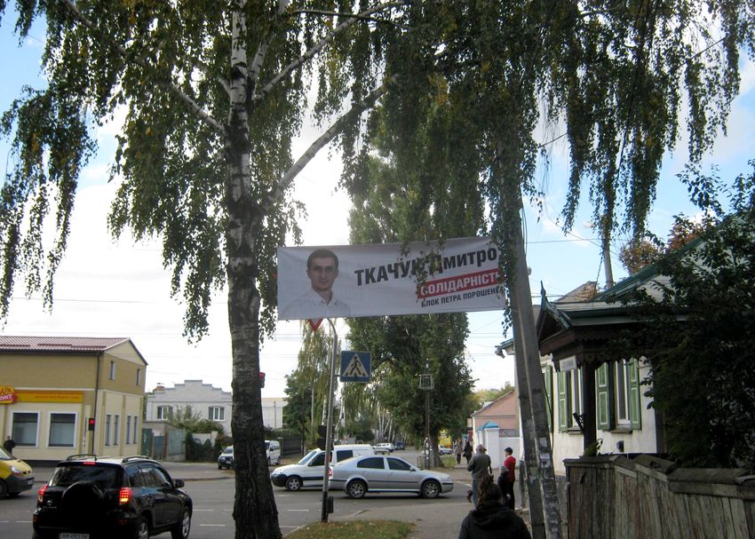 Кандидат в депутаты Дмитрий Ткачук считает, что реклама на деревьях - приемлемая европейская практика