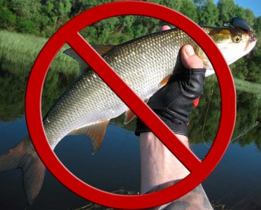 Соратник Олега Ляшко предлагает запретить вылов рыбы