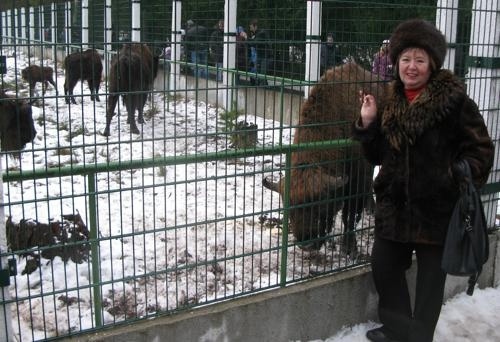 Наталья Витренко встретила лосей и словила окуней на зимней рыбалке